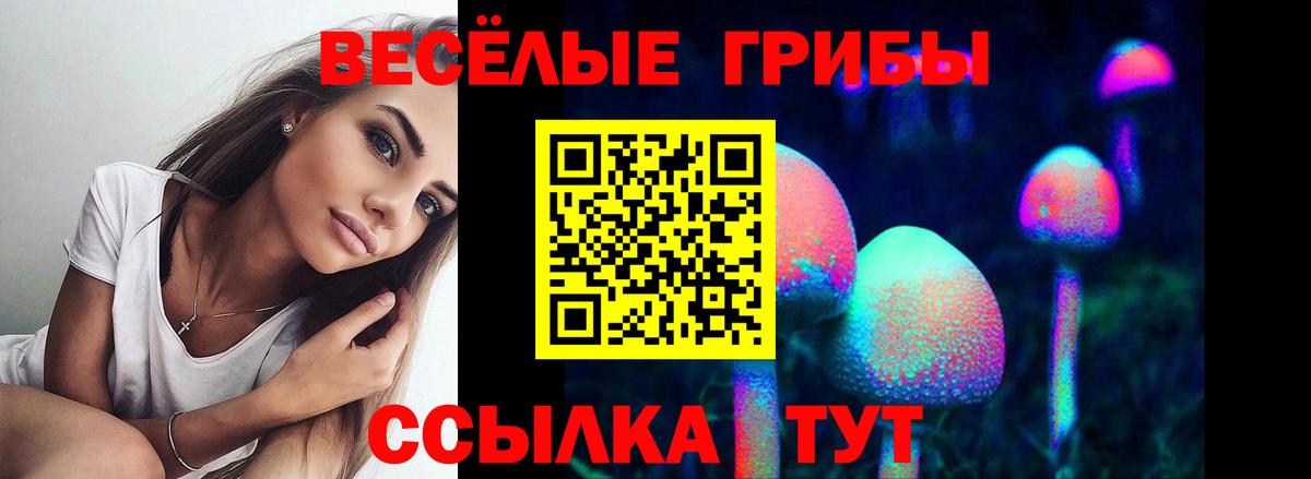 Галлюциногенные грибы мицелий  Вход с VPN  Альметьевск 